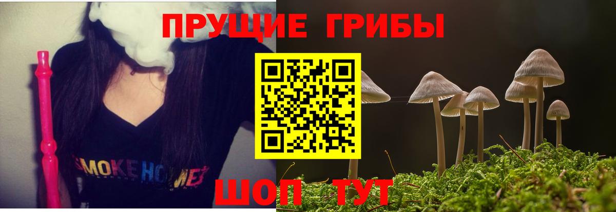 Галлюциногенные грибы прущие грибы  продажа наркотиков  Сыктывкар  Вход с VPN 